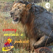 Coming Unstuck: A Step Up To Greatness Podcast image