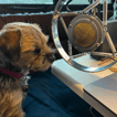 Joe Bly's Show image