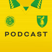 The Along Come Norwich Podcast image