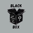 Black Box image