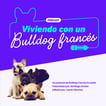 Viviendo con un bulldog francés image