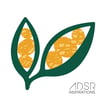 ADSR Inspirations pod image