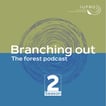 Branching out image