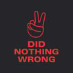 Did Nothing Wrong podcast  image
