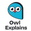 Owl Explains image