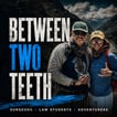 Between Two Teeth image