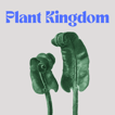 Plant Kingdom image