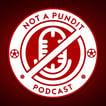 The Not A Pundit Podcast image
