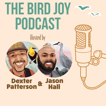 The Bird Joy Podcast image