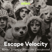 Escape Velocity - Where Strategy Meets the Unexpected image