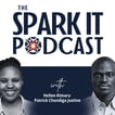 The Spark It Podcast image