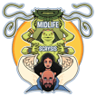 Midlife Scrysis image