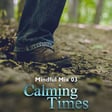 Mindful Mix 03 from Calming Times image