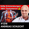 Testosteron verdoppeln: 5 STARKE Tipps (Master of Medizin enthüllt) | Andreas Schlecht | #1216 image