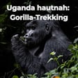 Uganda: Gorillas, Schimpansen, Safari & echte Gänsehautmomente image
