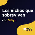 +4.000€ al mes en AdSense con estas estrategias de nichos, con Seliyu #297 image