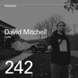 #242 - David Mitchell (Gulfer) image