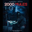 2000 Mules Skeptics in the Pub Talk (bonus episode) image