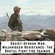 Soviet - Afghan War, Mujahideen Resistance: The Brutal Fight for Zhawar (450) image