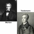 Morton-Tiedemann-Gould image