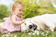 New Baby and the Family Pet image