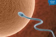 Getting Pregnant: Ovulation, Fertilization and More image