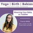 Weaning Your Baby or Toddler with Francie Webb image