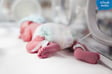Inside the NICU: Bonding with your Babies image