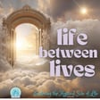 Life Between Lives image