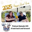 Podcast 245 - The year of travel - a look back and forward image