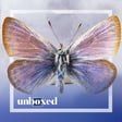 S6E11 - A Story of Butterflies, Regeneration, and Hope image