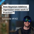 BITESIZE | How Bayesian Additive Regression Trees Work in Practice image