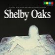 Shelby Oaks Interview with Director Chris Stuckmann image