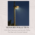 Bonus: Sensory Pollution with Brett Seymoure and Jennifer Phillips image