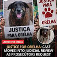 #40: Justice for Orelha image