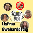 Llyfrau Gwaharddedig image