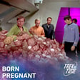 184: Star Trek TOS Season 2, “The Trouble With Tribbles” image