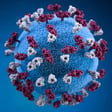 Alberta's measles catastrophe image