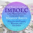 2026 Imbolc - A Six Week Guide to Candlemas with Meagan Angus image