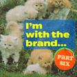 Episode 245: I'm With The Brand (bots in the algorithm), part six image