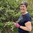 Spring Pruning Tips image