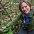 Forest Bathing image