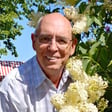Lilacs image