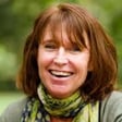 Anthea Rowan - How To Approach The Scary image