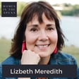 You Can Survive This: A Story of Advocacy, Resilience & Hope with Lizbeth Meredith   image