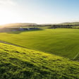 Episode Ten - The Gaelic Athletic Association Part Two image