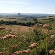 The Story of 1066 part 3 image