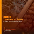 #138 - Tratamento de água a partir do caroço do açaí image