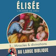 #373 Elisee, l'homme de Dieu (3) Miracles et divinations image