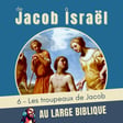 #416 De Jacob à Israël (6) Les troupeaux de Jacob Gn 30,25 - 31,2 image
